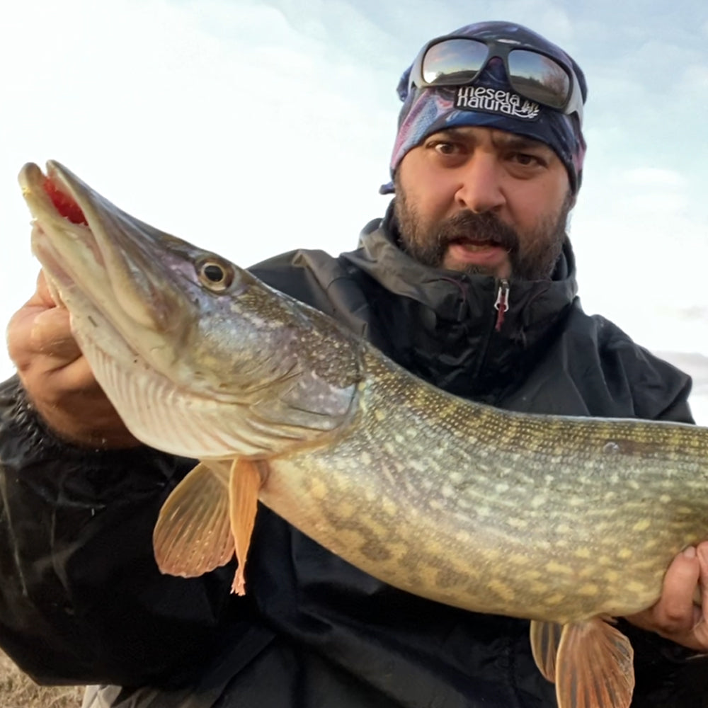 Braga cuello y/o cabeza depredador